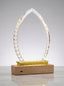 Trophée en verre lumineux pour bureau ovale avec lauriers et base en bois clair, idéal comme récompense entreprise personnalisée.