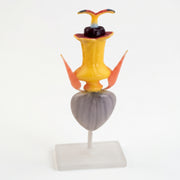 Modèle Anatomique Fleur de Tournesol 3D