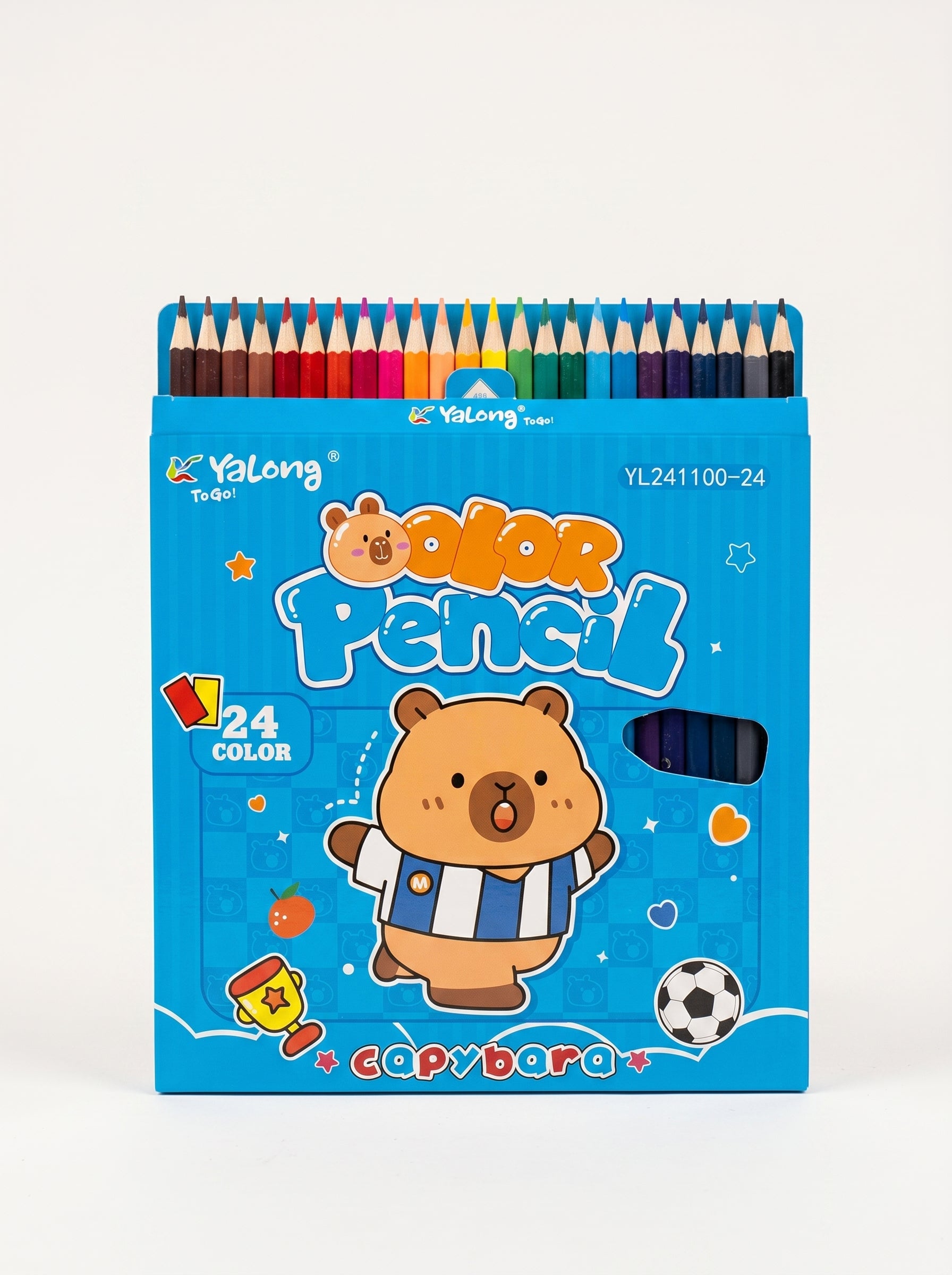 Crayons de Couleur 24 Couleurs Qualité Premium pour Dessin et Art