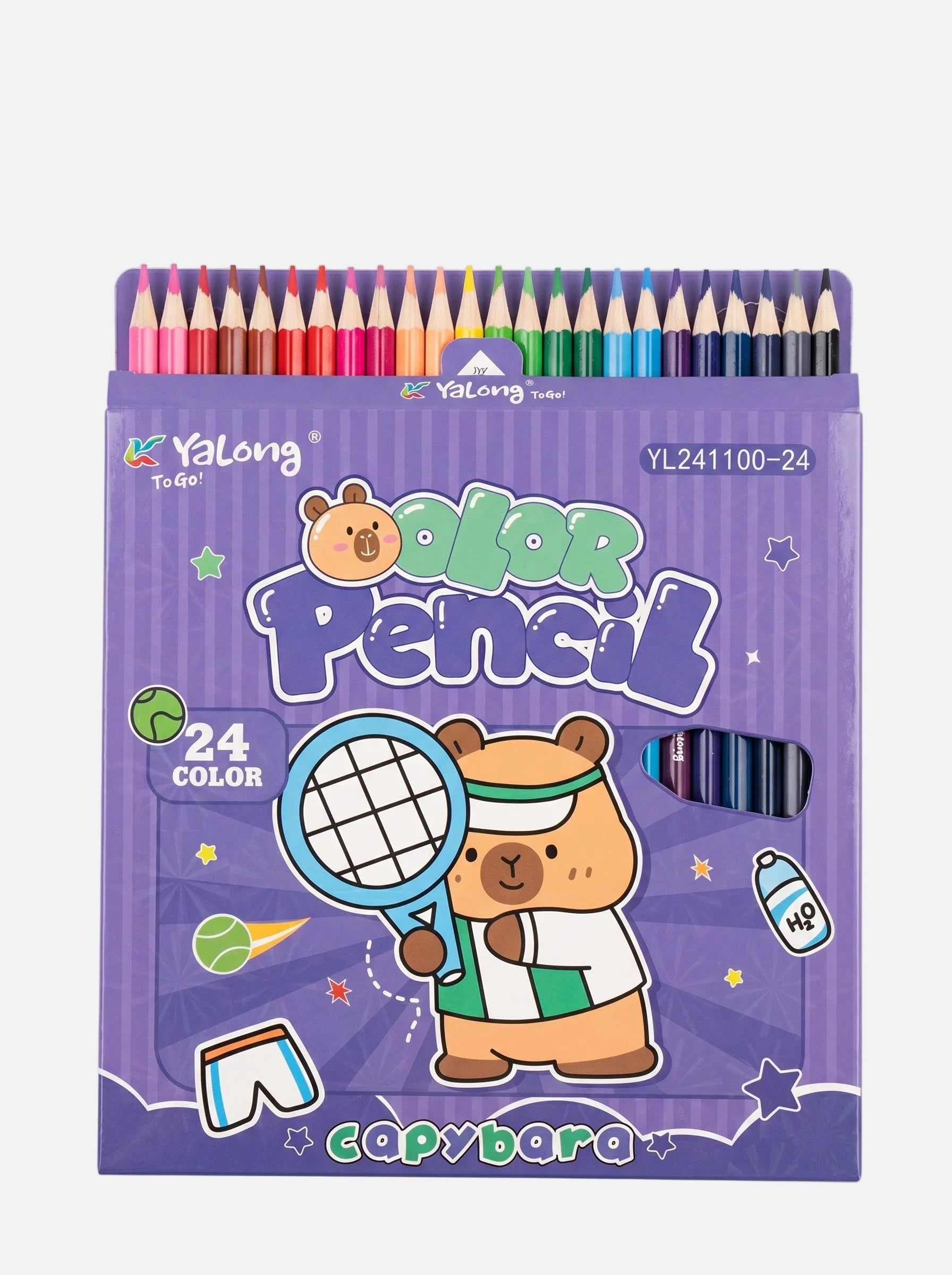 Crayons de Couleur 24 Couleurs Qualité Premium pour Dessin et Art