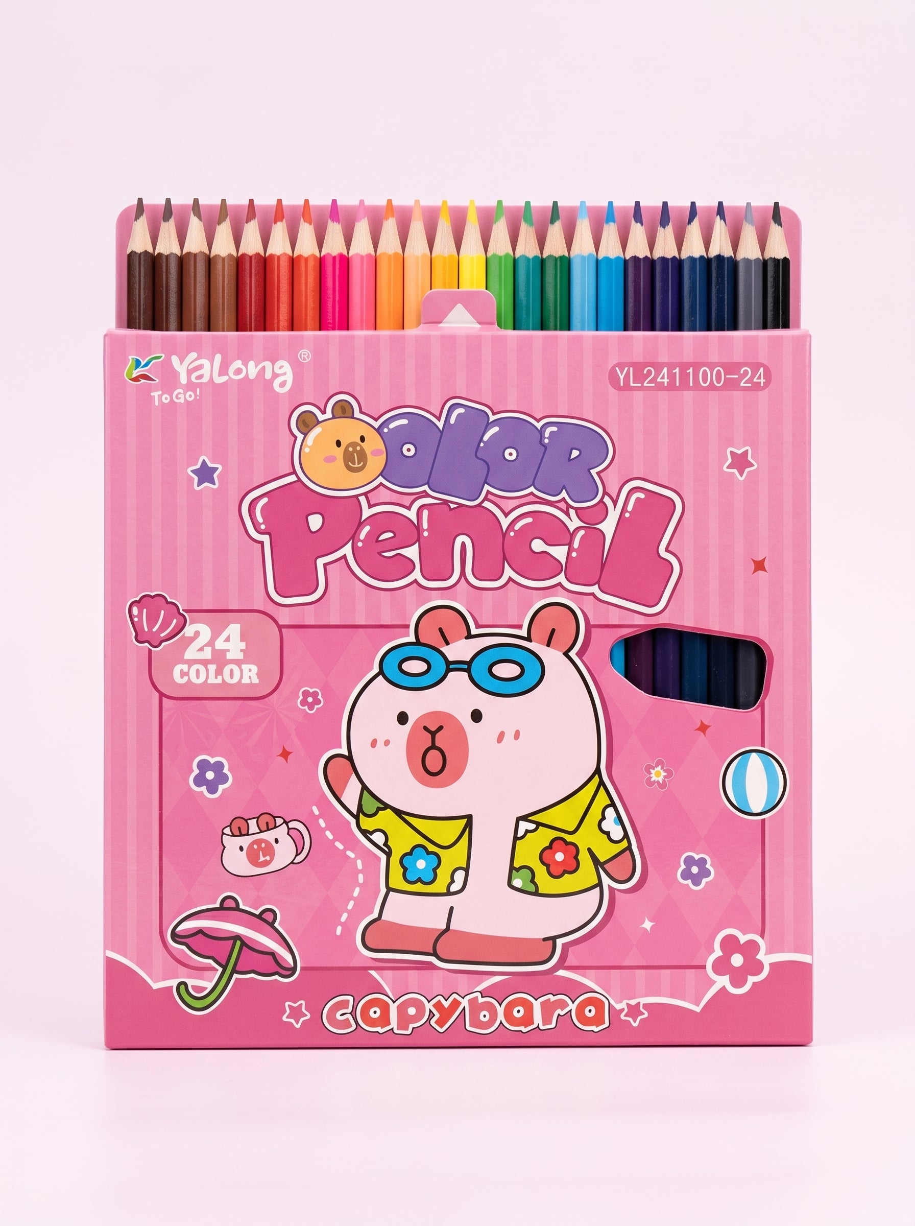 Crayons de Couleur 24 Couleurs Qualité Premium pour Dessin et Art
