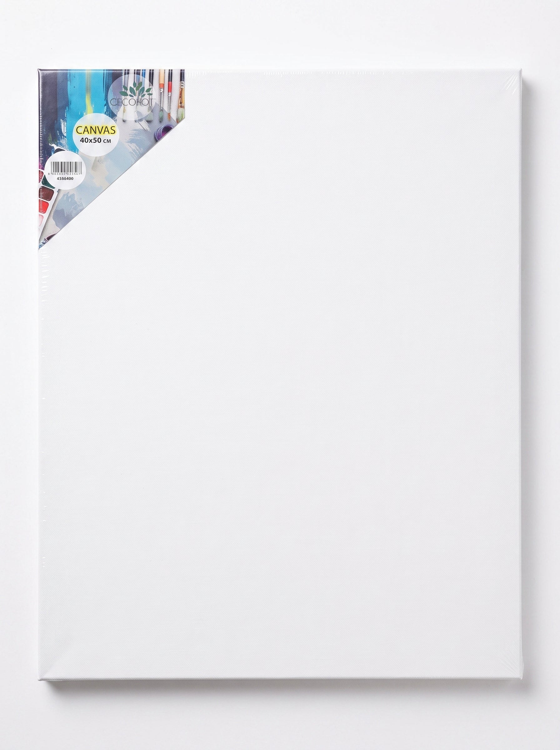 Toile à Peindre de Haute Qualité – Idéale pour Artistes
