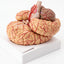 Modèle Anatomique Cerveau Humain 3D