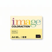 Rame de Papier Couleur A4 80g (500 Feuilles)