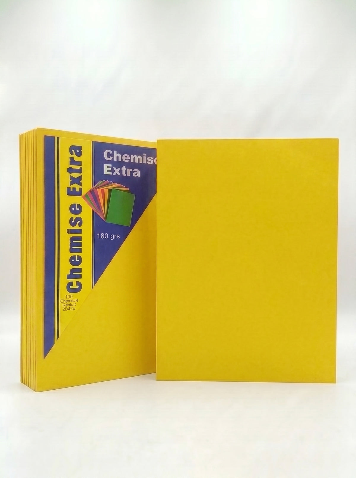 Chemises Carton A4 (Pack de 100)En Couleur