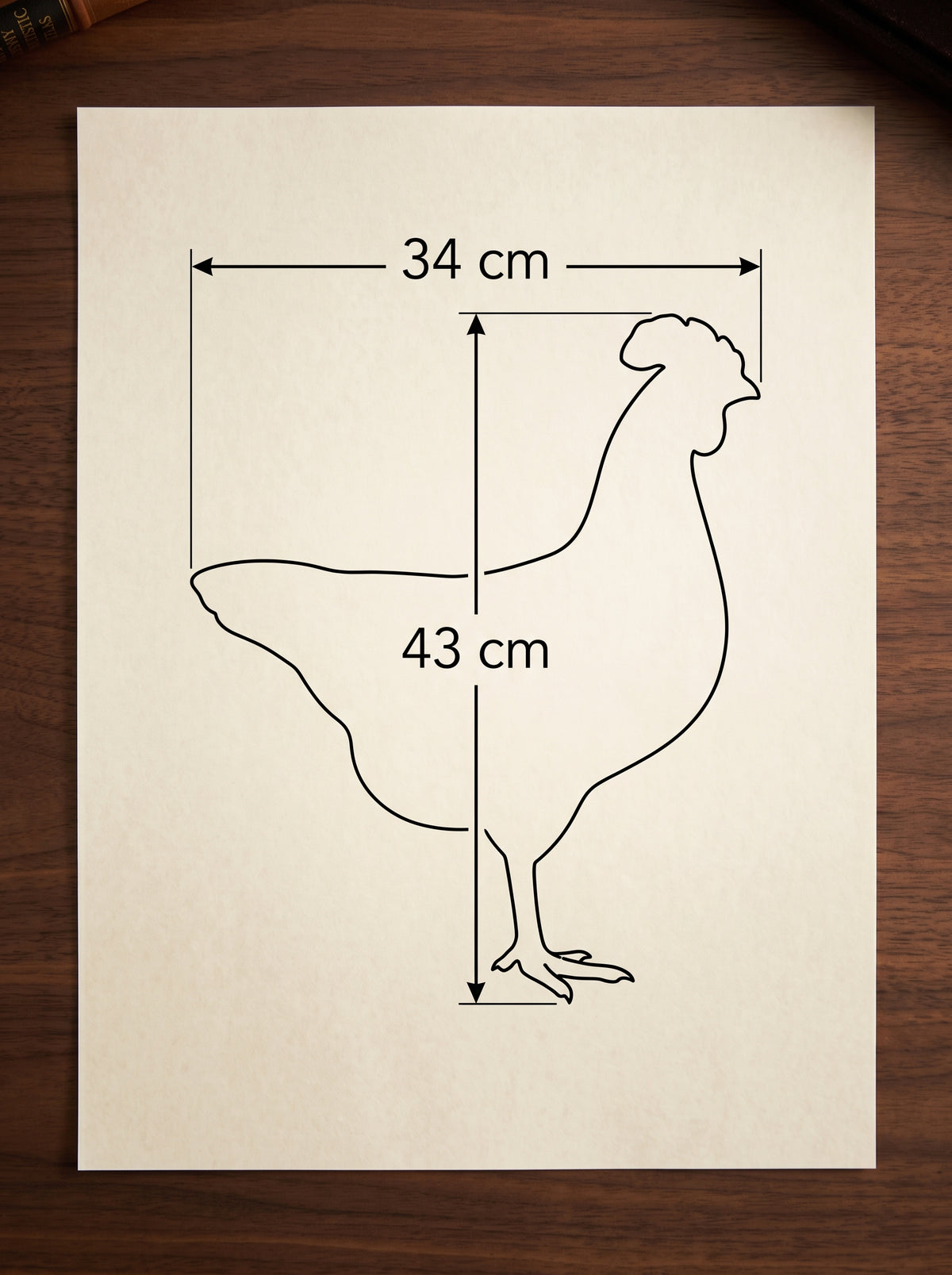 Modèle Anatomique Poule 3D 43*34 cm