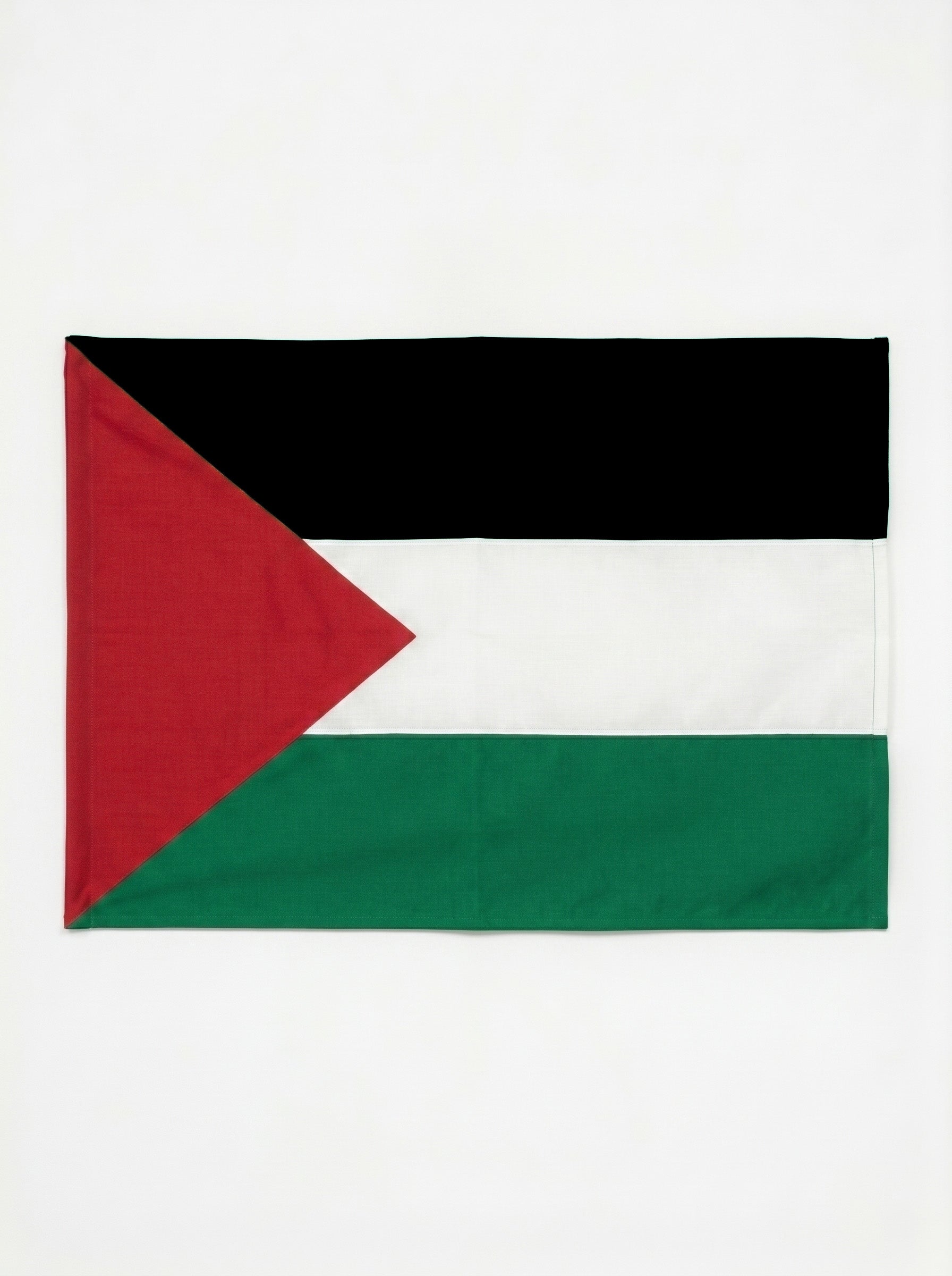 Drapeau de Palestine 100*150 cm - Grand Format pour Extérieur Image principale du produit