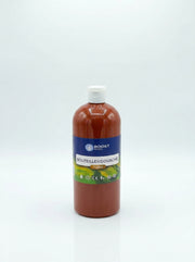 Peinture Gouache Liquide 1L Boost School