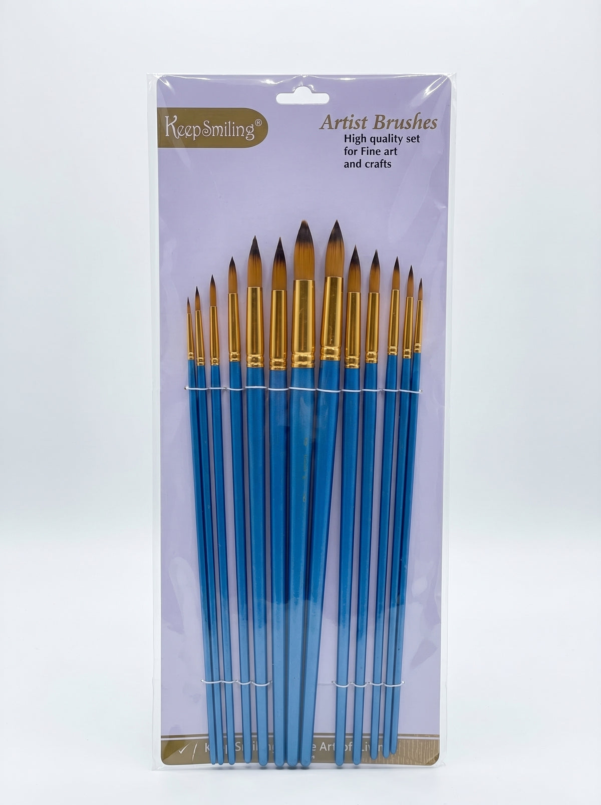 Pinceau rond manche long et pinceau biseauté peinture - Set de 13 pièces