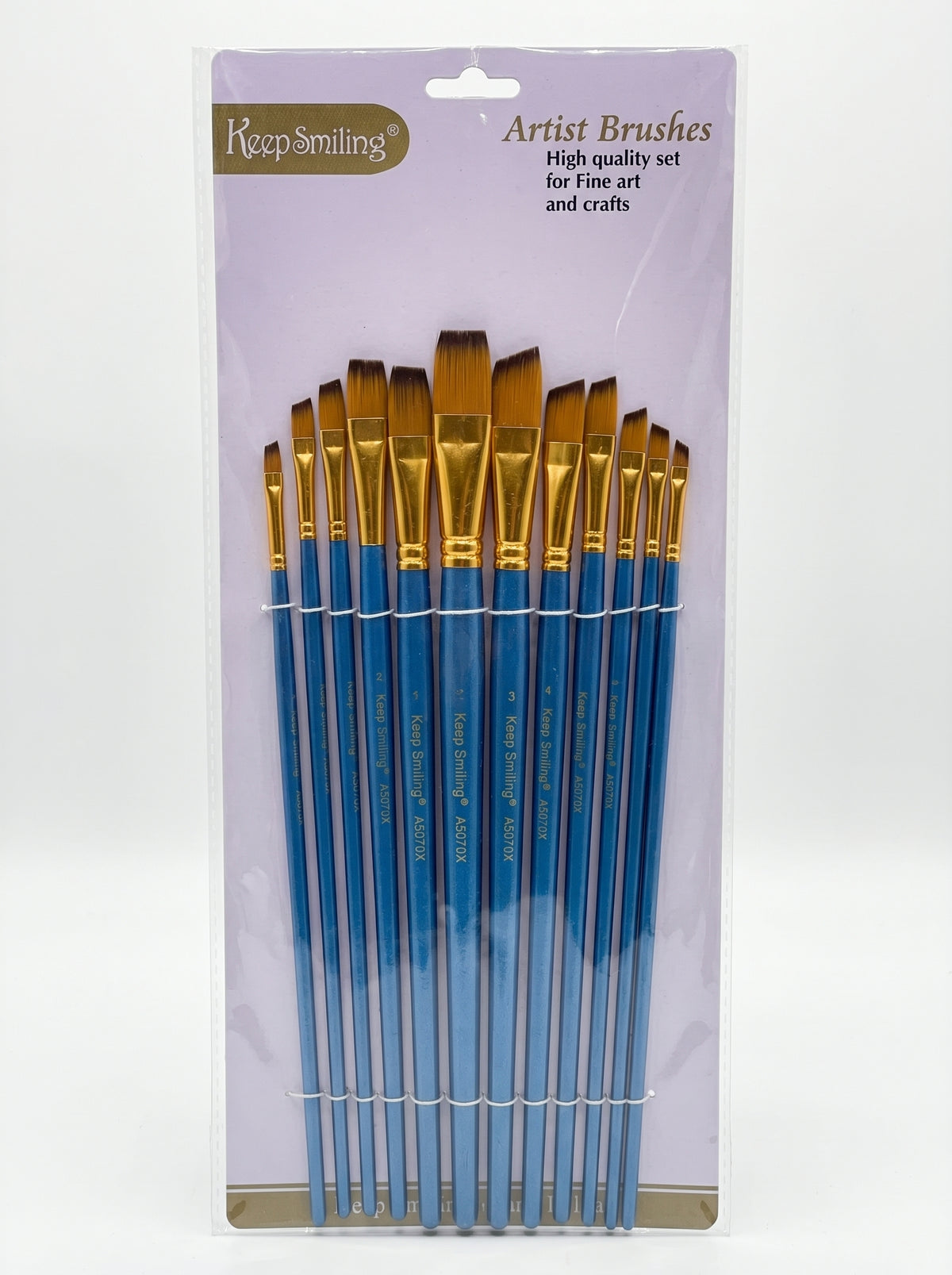 Pinceau biseauté manche long – Set de 13 pinceaux d'art haute qualité