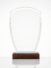 Trophée en Verre pour Bureau avec Boîte