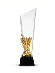 Trophée en Verre pour Bureau avec Boîte de Présentation