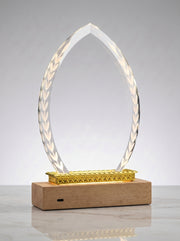 Trophée en Verre Lumineux pour Bureau avec Boîte Cadeau