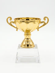Trophée Verre Design pour Bureau avec Boîte