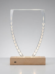 Trophée en Verre Lumineux pour Bureau avec Boîte