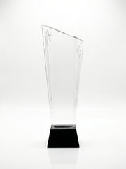 Trophée Professionnel : Trophy Verre Pour Bureau Avec Boite