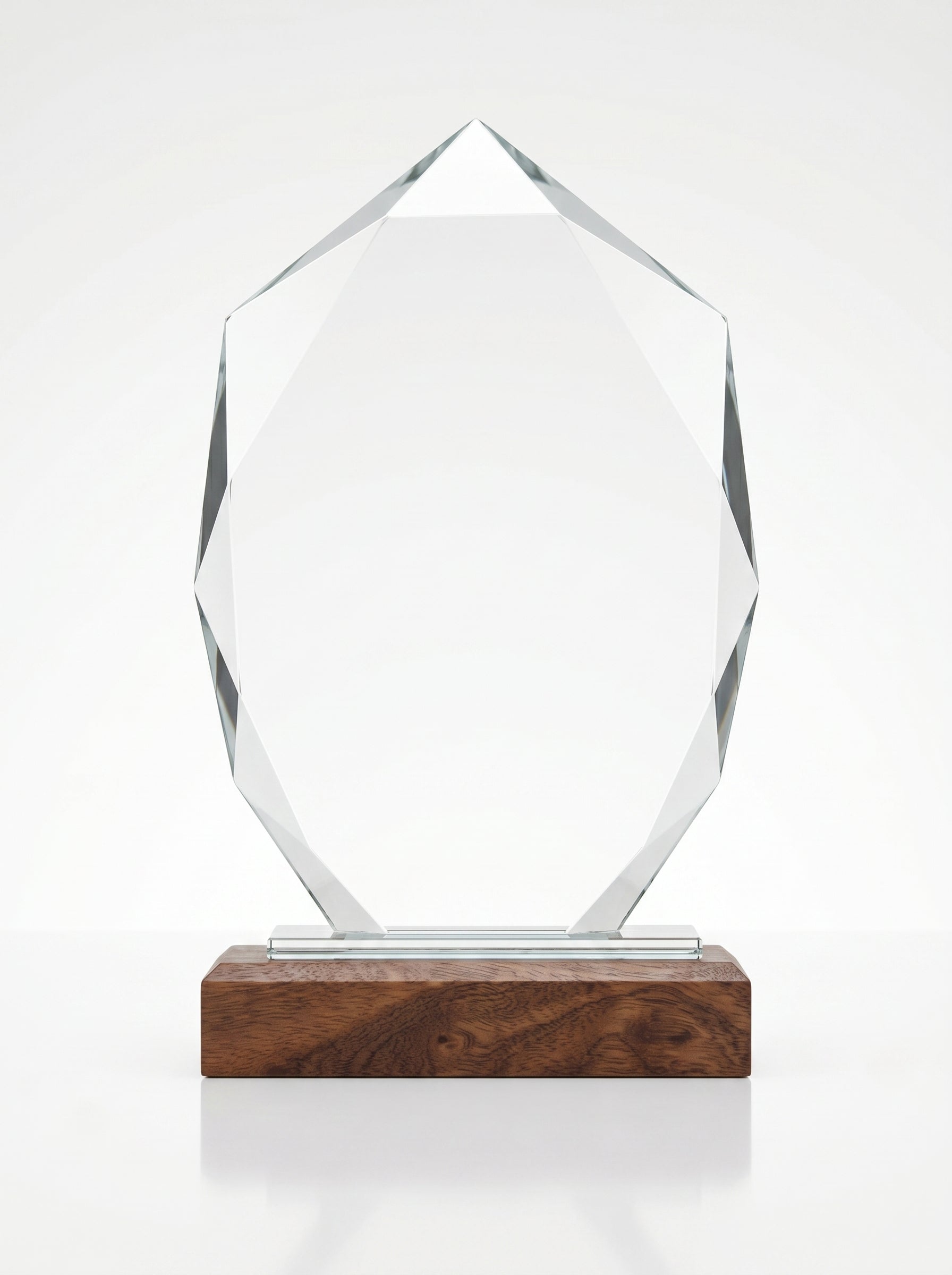 Trophée personnalisé verre et bois vu de face, idéal comme récompense d'entreprise pour les collaborateurs.