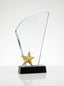 Trophée en verre avec étoile dorée en relief sur socle noir, idéal pour la reconnaissance collaborateur.