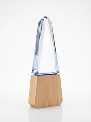 Trophée en Verre et Bois pour Bureau avec Boîte