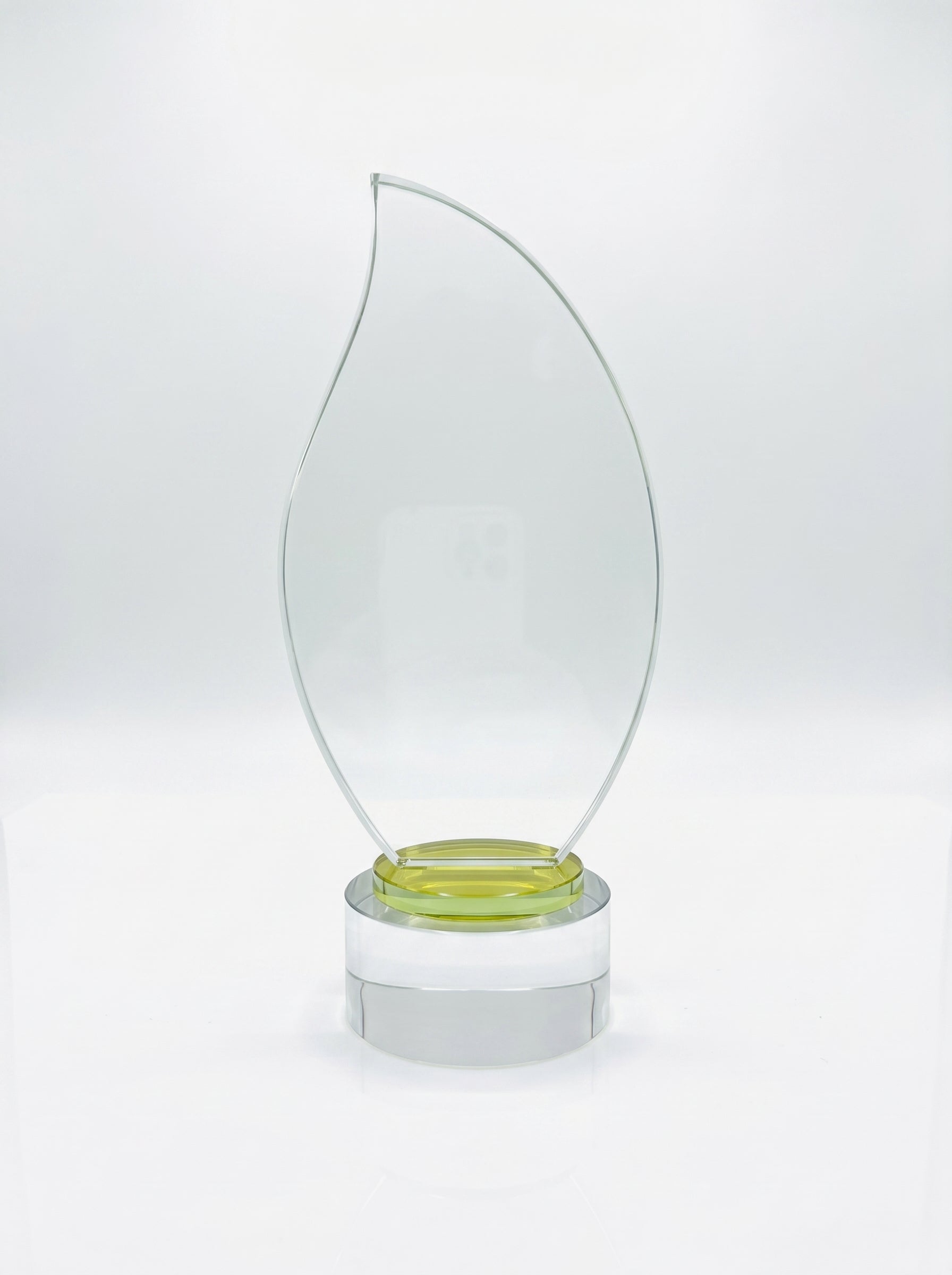 Trophée d'honneur gravé avec de fins motifs de laurier reposant sur un socle en bois premium.