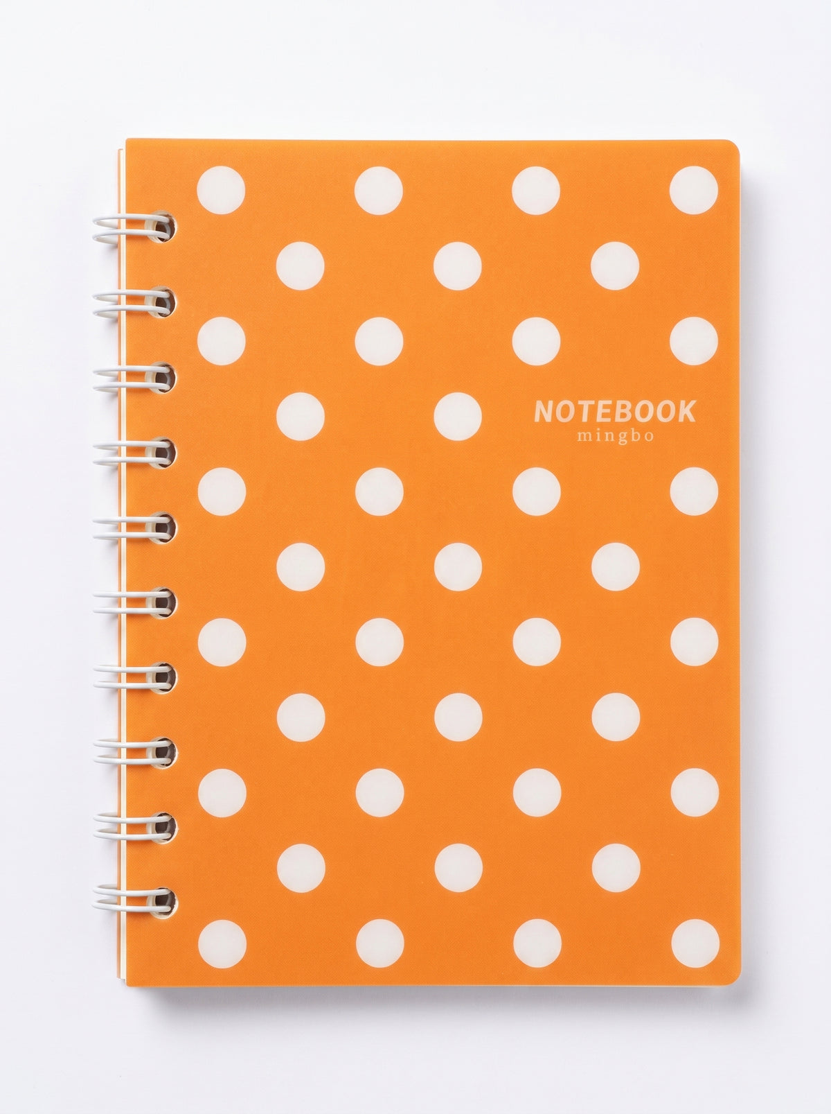 Carnet A5 Yalong 96 pages