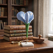 Modèle Anatomique : Fleur de Pois 3D