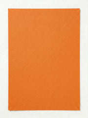 Papier dessin couleur 50x65 cm Sadipal | Teinte Pêche/Saumon
