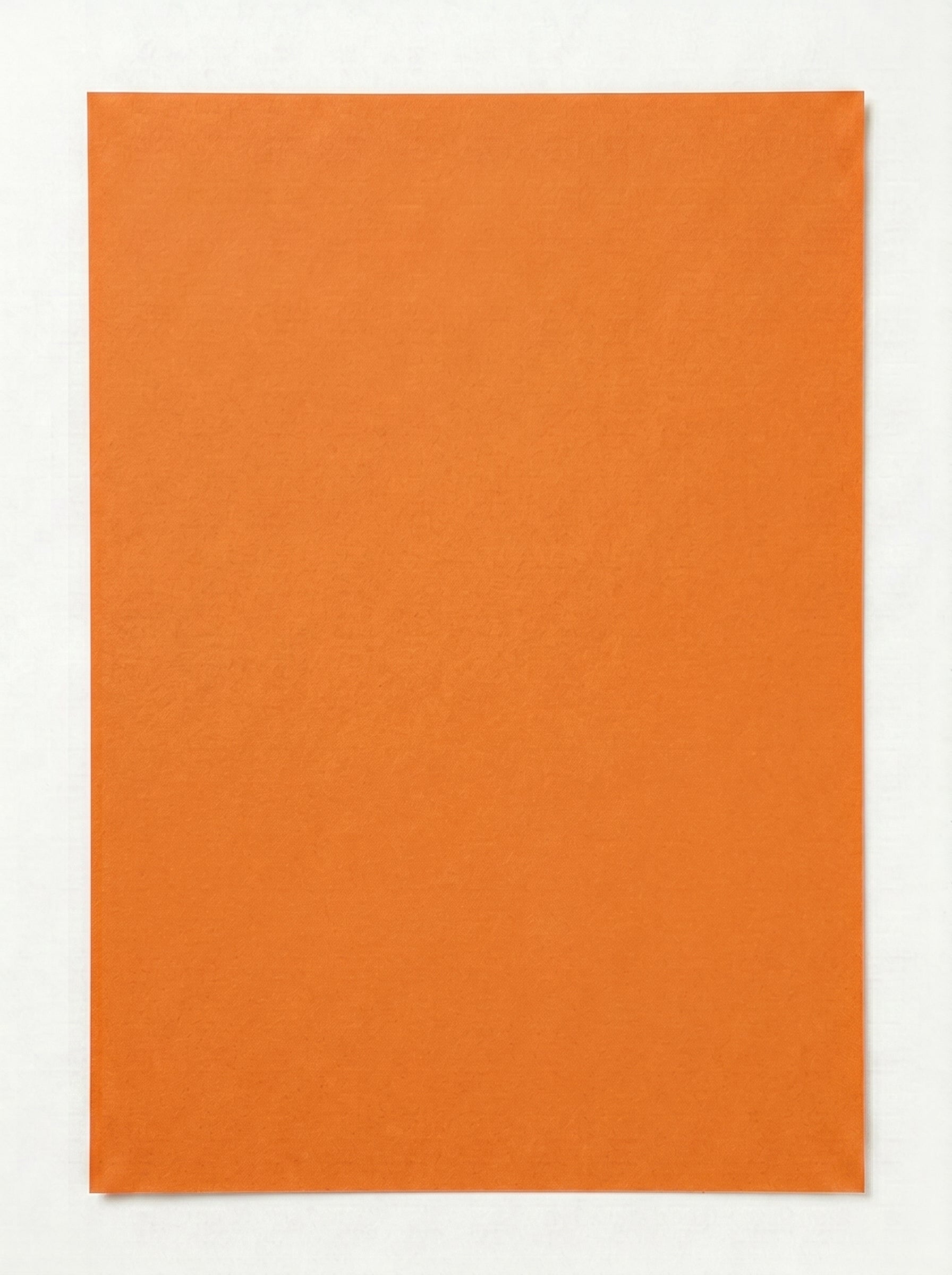 Papier dessin couleur 50x65 cm Sadipal | Teinte Pêche/Saumon
