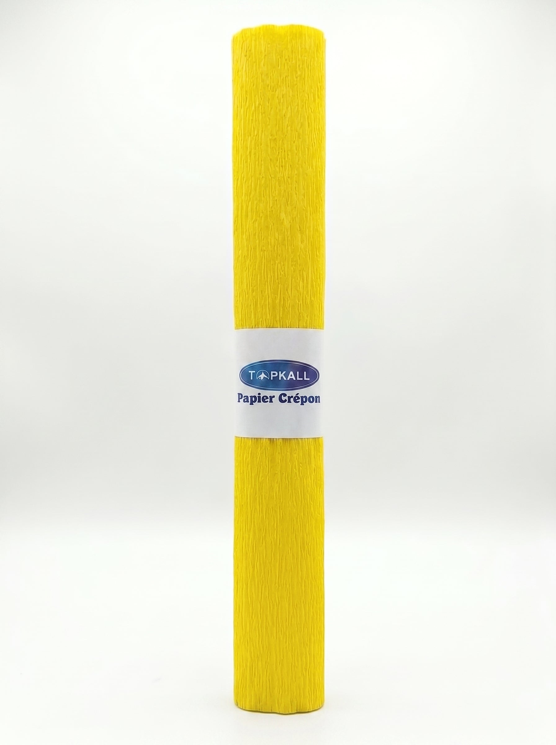 Rouleau de Papier Crépon Couleurs Assorties | Format XL 200 x 50 cm