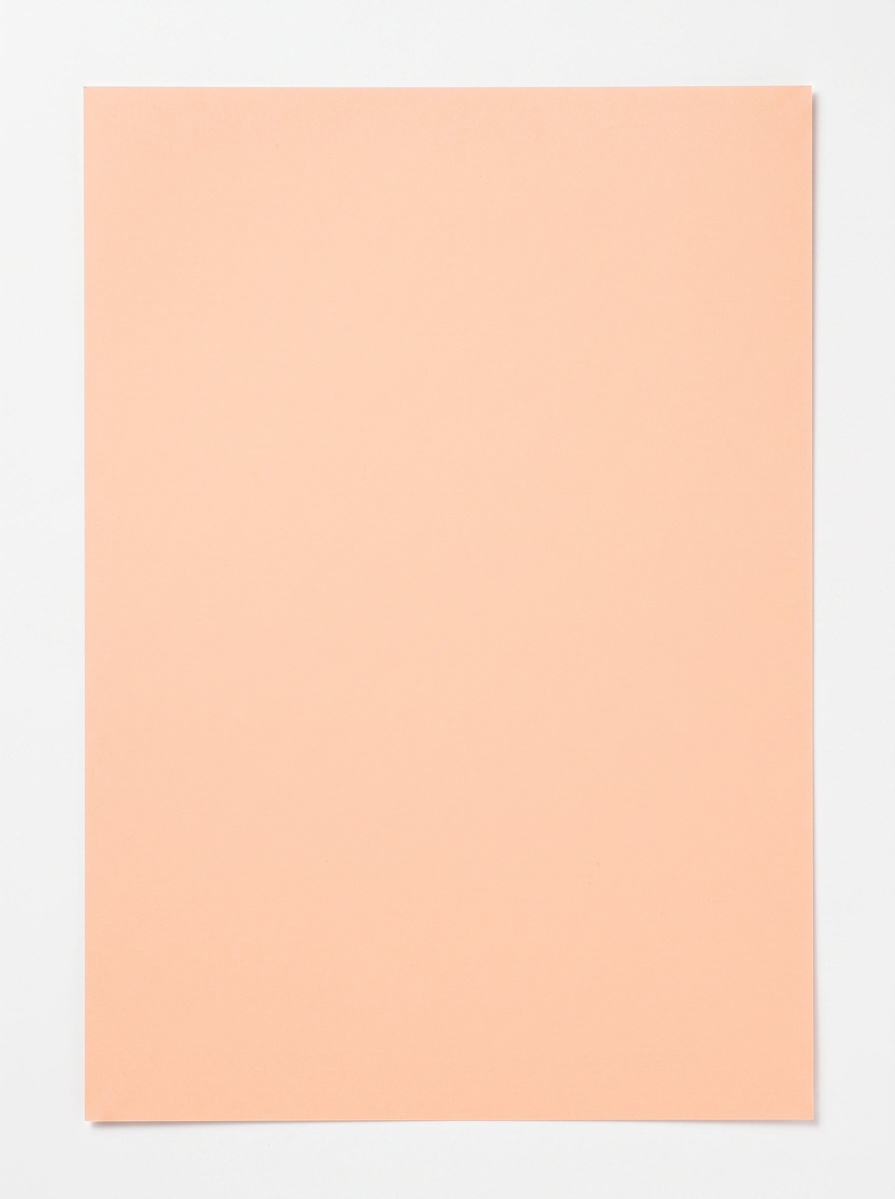 Papier dessin couleur 50x65 cm Sadipal | Teinte Pêche/Saumon Image principale du produit