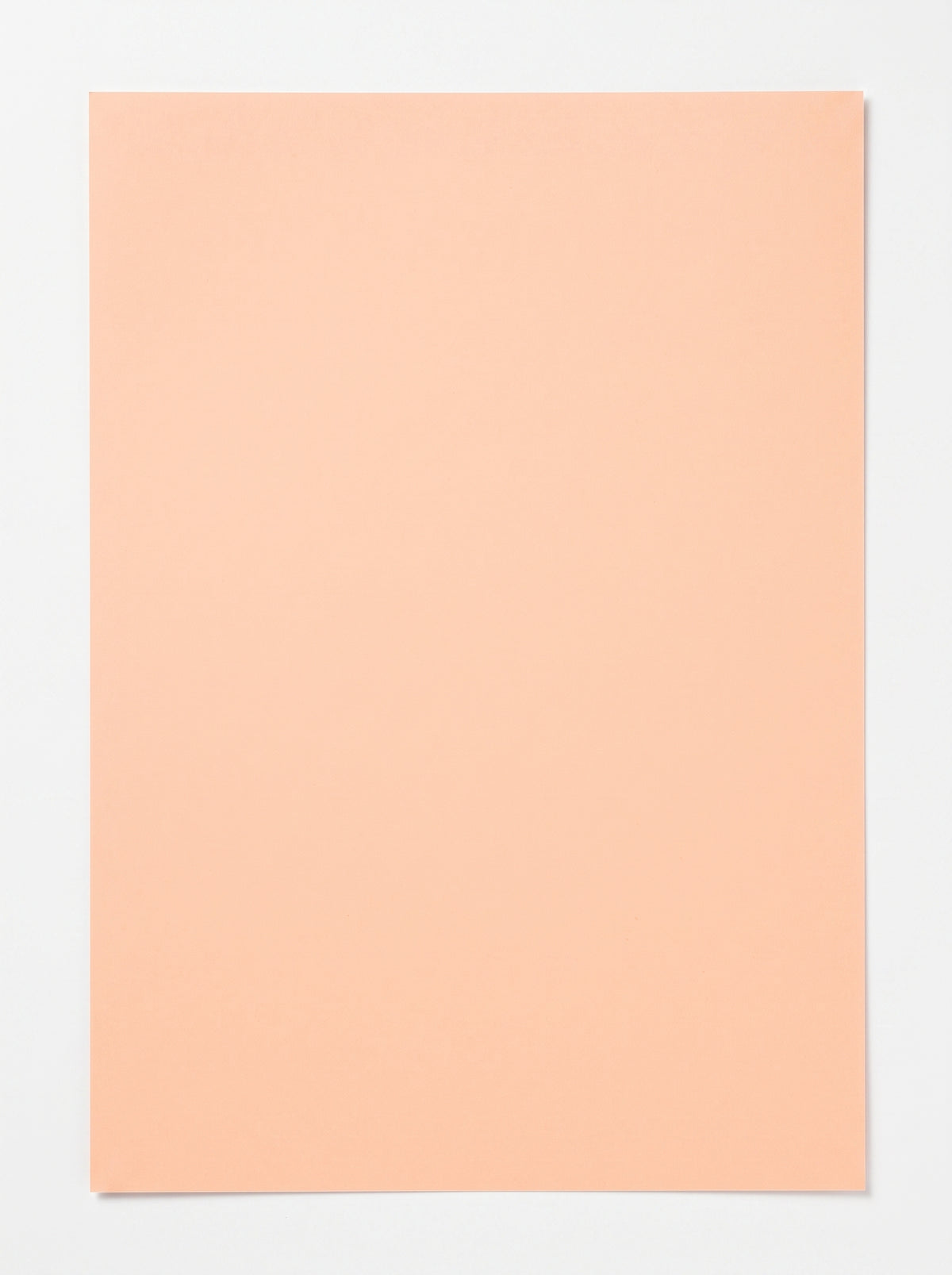 Papier dessin couleur 50x65 cm Sadipal | Teinte Pêche/Saumon