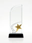 Trophée en verre personnalisé avec étoile dorée en 3D et sillage d'étoiles dépolies