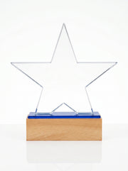 Trophée Verre et en Bois pour Bureau avec Boîte