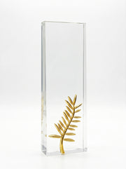 Trophée Verre pour Bureau avec Boîte