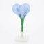 Modèle Anatomique : Fleur de Pois 3D